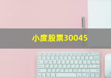 小度股票30045