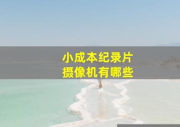 小成本纪录片摄像机有哪些