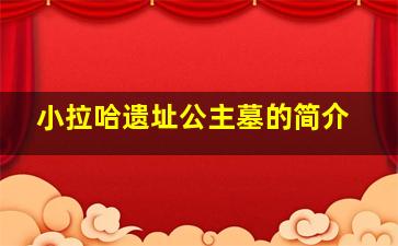 小拉哈遗址公主墓的简介