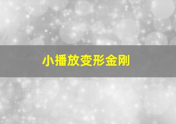 小播放变形金刚