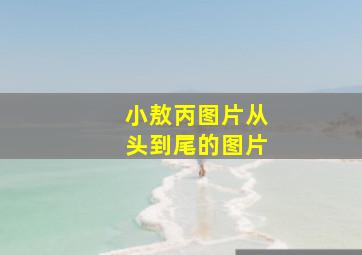 小敖丙图片从头到尾的图片