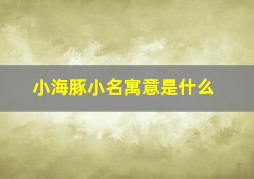 小海豚小名寓意是什么