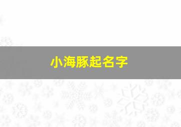 小海豚起名字