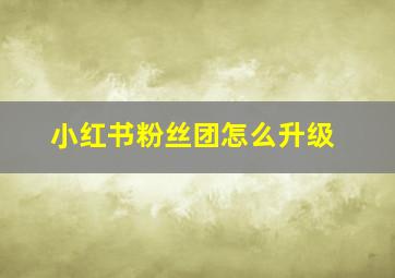 小红书粉丝团怎么升级