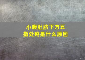 小腹肚脐下方五指处疼是什么原因