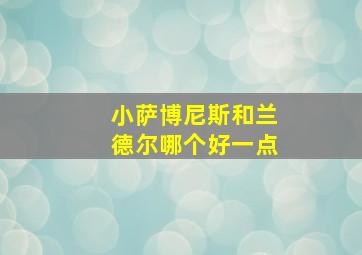 小萨博尼斯和兰德尔哪个好一点