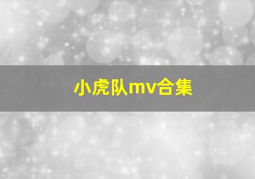 小虎队mv合集