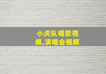 小虎队唱歌视频,演唱会视频