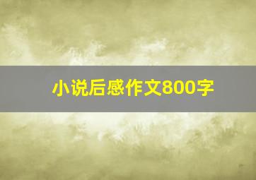 小说后感作文800字