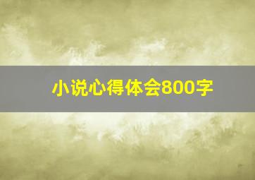 小说心得体会800字