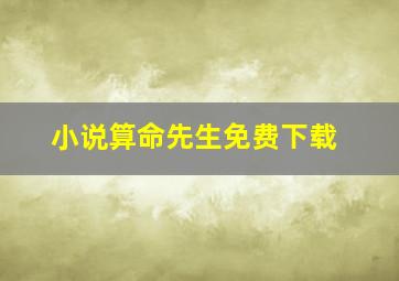 小说算命先生免费下载