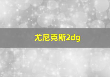 尤尼克斯2dg