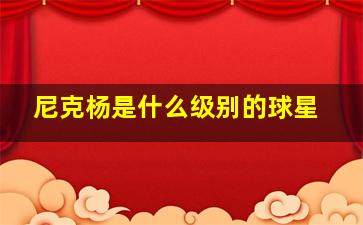 尼克杨是什么级别的球星