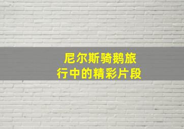 尼尔斯骑鹅旅行中的精彩片段