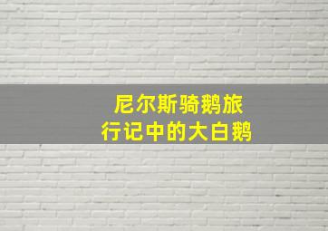 尼尔斯骑鹅旅行记中的大白鹅