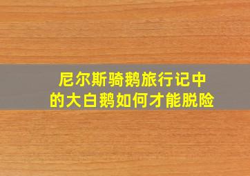 尼尔斯骑鹅旅行记中的大白鹅如何才能脱险