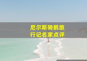 尼尔斯骑鹅旅行记名家点评