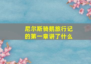 尼尔斯骑鹅旅行记的第一章讲了什么