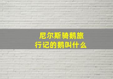 尼尔斯骑鹅旅行记的鹅叫什么