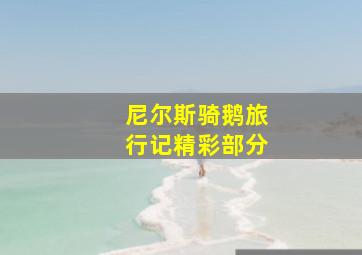 尼尔斯骑鹅旅行记精彩部分