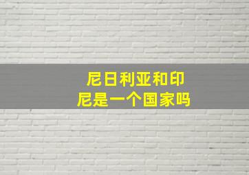 尼日利亚和印尼是一个国家吗