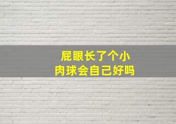 屁眼长了个小肉球会自己好吗