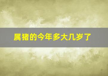 属猪的今年多大几岁了