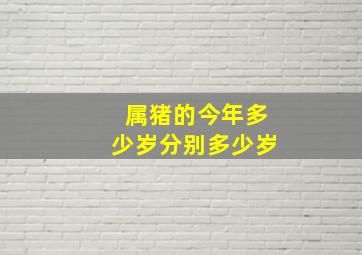 属猪的今年多少岁分别多少岁