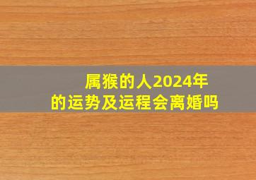 属猴的人2024年的运势及运程会离婚吗