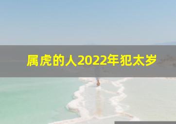 属虎的人2022年犯太岁