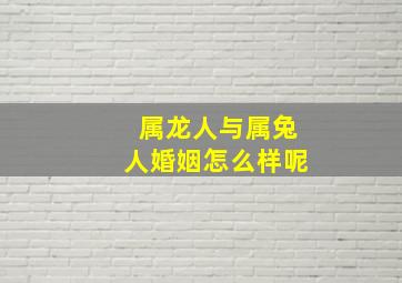 属龙人与属兔人婚姻怎么样呢