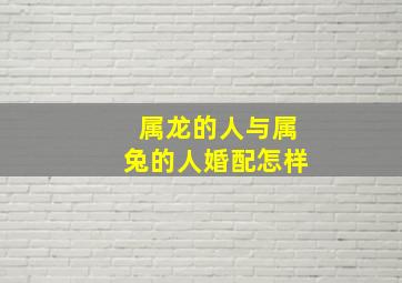 属龙的人与属兔的人婚配怎样