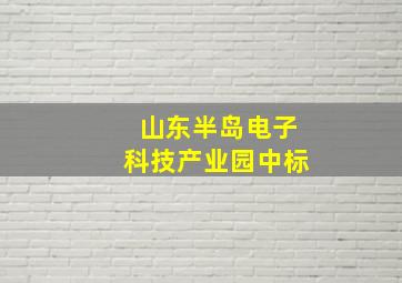 山东半岛电子科技产业园中标