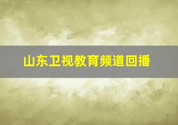 山东卫视教育频道回播