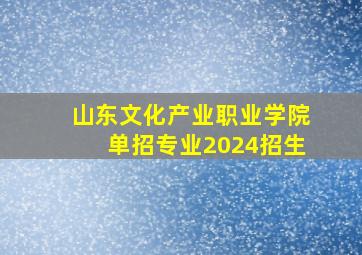 山东文化产业职业学院单招专业2024招生