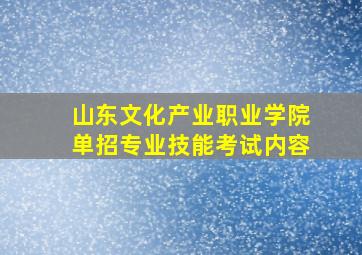 山东文化产业职业学院单招专业技能考试内容