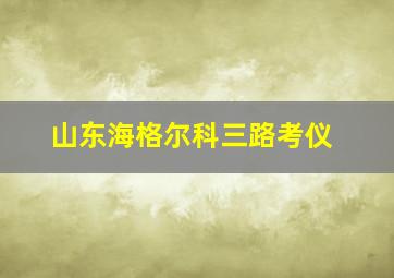 山东海格尔科三路考仪