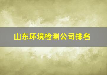 山东环境检测公司排名