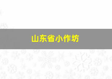 山东省小作坊