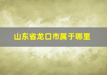 山东省龙口市属于哪里