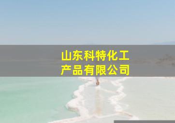 山东科特化工产品有限公司