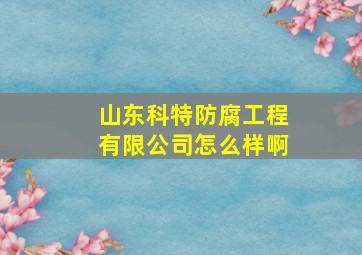 山东科特防腐工程有限公司怎么样啊