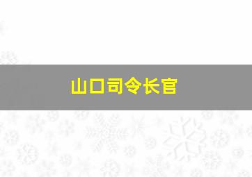 山口司令长官