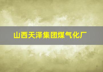 山西天泽集团煤气化厂