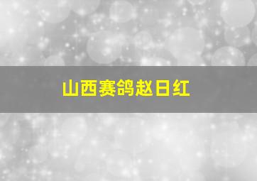 山西赛鸽赵日红