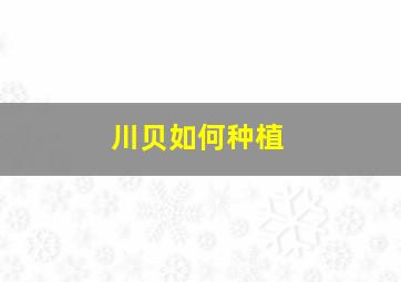 川贝如何种植