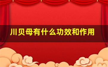 川贝母有什么功效和作用