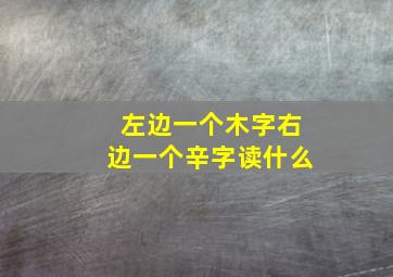 左边一个木字右边一个辛字读什么