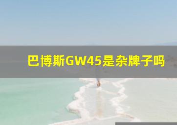 巴博斯GW45是杂牌子吗