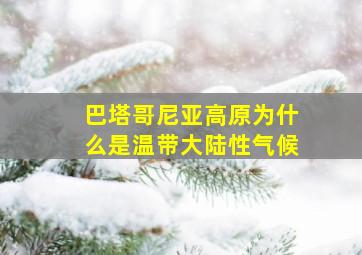 巴塔哥尼亚高原为什么是温带大陆性气候